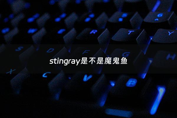stingray是不是魔鬼鱼 - 魔鬼鱼是鲨鱼吗