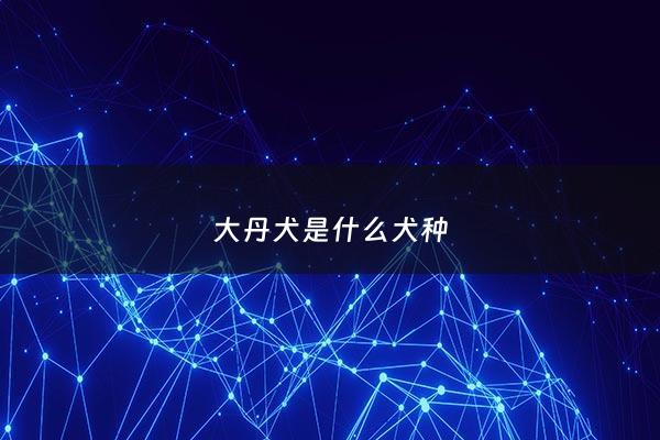 大丹犬是什么犬种 - 大丹犬长什么样子?