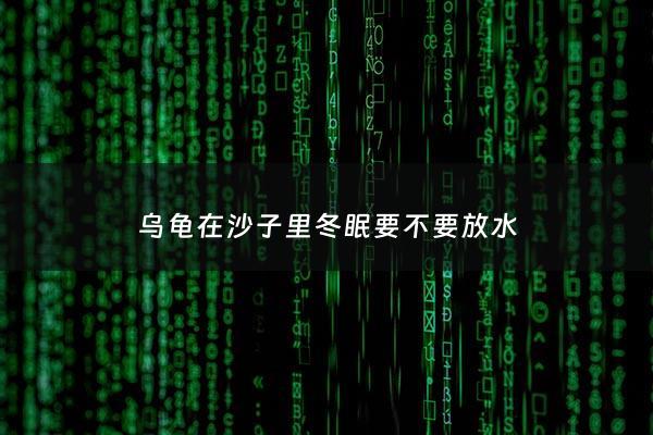 乌龟在沙子里冬眠要不要放水 - 乌龟在沙里冬眠需要挖出来看看吗