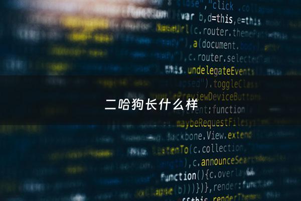 二哈狗长什么样 - 二哈长啥样