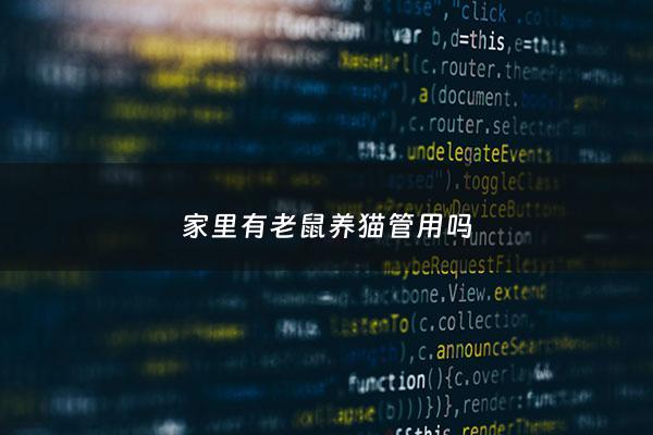 家里有老鼠养猫管用吗 - 家里有老鼠 养猫有用吗