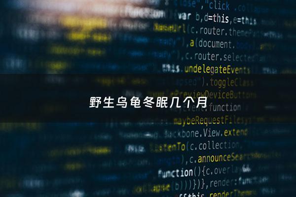 野生乌龟冬眠几个月 - 野生乌龟冬眠几个月开始