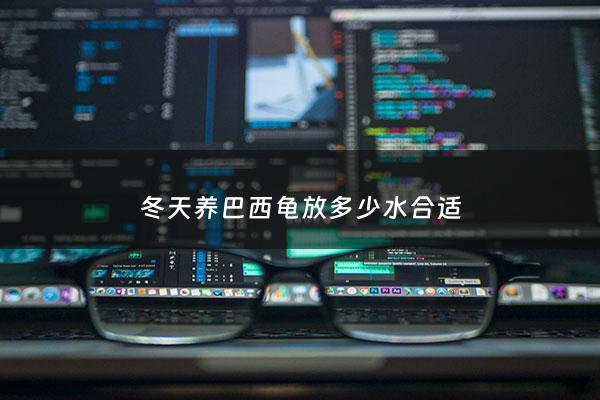 冬天养巴西龟放多少水合适 - 冬天养巴西龟需要加热么