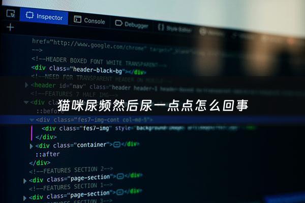 猫咪尿频然后尿一点点怎么回事 - 猫咪尿频然后尿一点点怎么回事啊