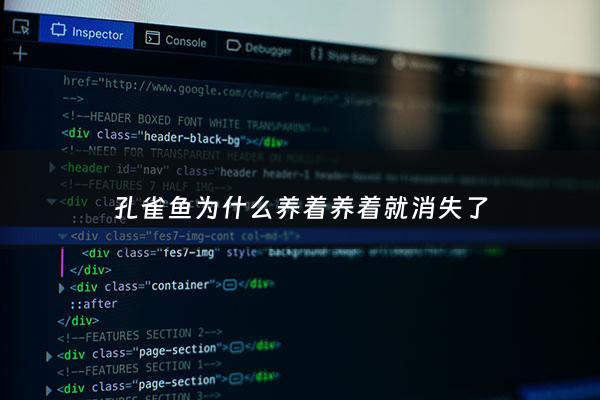 孔雀鱼为什么养着养着就消失了 - 孔雀鱼为什么好好的为什么就死了
