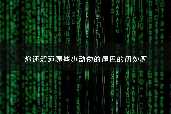 你还知道哪些小动物的尾巴的用处呢 - 还有哪些小动物的尾巴有什么用