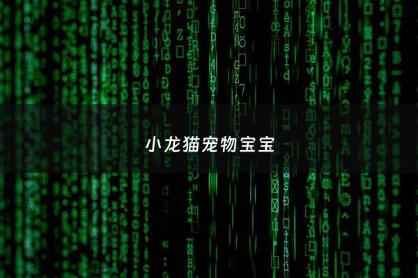 小龙猫宠物*** - 小龙猫宠物******