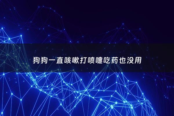 狗狗一直咳嗽打喷嚏吃药也没用 - 狗狗咳嗽喷嚏一直不好