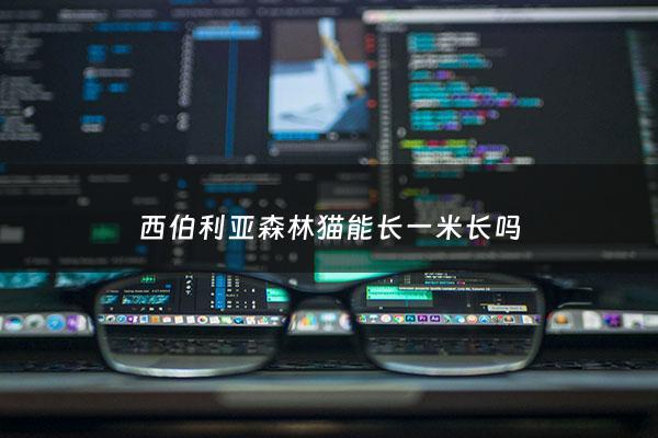 西伯利亚森林猫能长一米长吗 - 西伯利亚森林猫是长毛猫吗