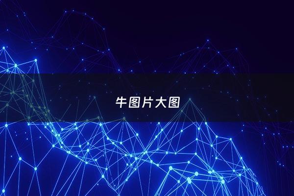 牛图片大图 - 牛图片大全大图 设计