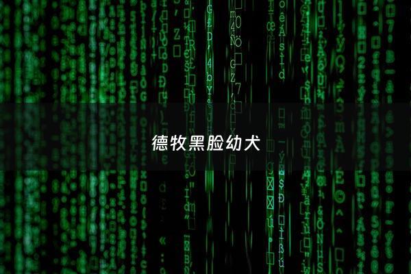 德牧黑脸幼犬 - 德牧 黑脸