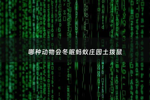 哪种动物会冬眠蚂蚁庄园土拨鼠 - 哪个动物会冬眠图片