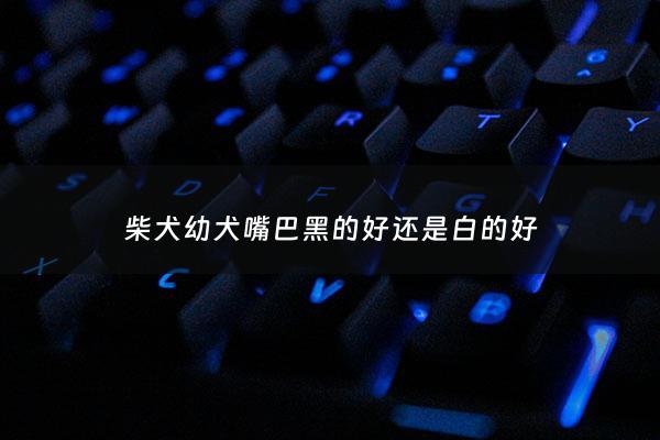 柴犬幼犬嘴巴黑的好还是白的好 - 柴犬嘴黑和不黑哪个好