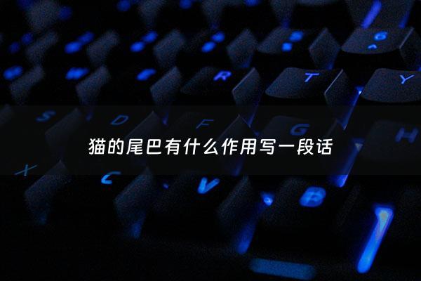 猫的尾巴有什么作用写一段话 - 猫的尾巴有什么用处简单说法