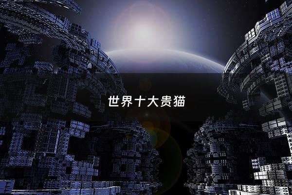 世界十大贵猫 - 世界十大最贵猫