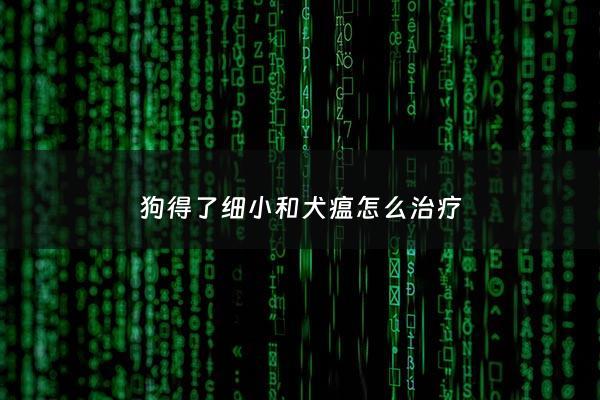 狗得了细小和犬瘟怎么治疗 - 狗狗得细小犬瘟大概治疗要多长时间***