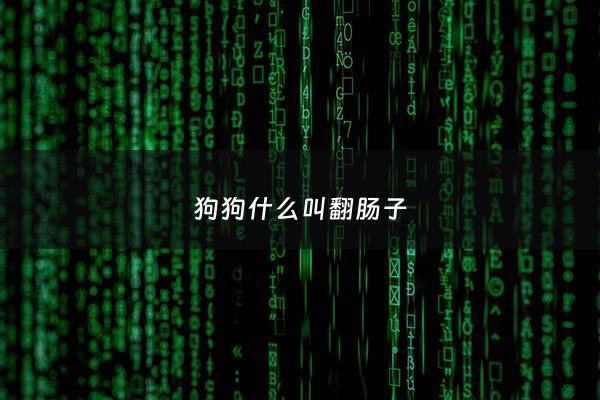 狗狗什么叫翻肠子 - 狗翻肠子啥样