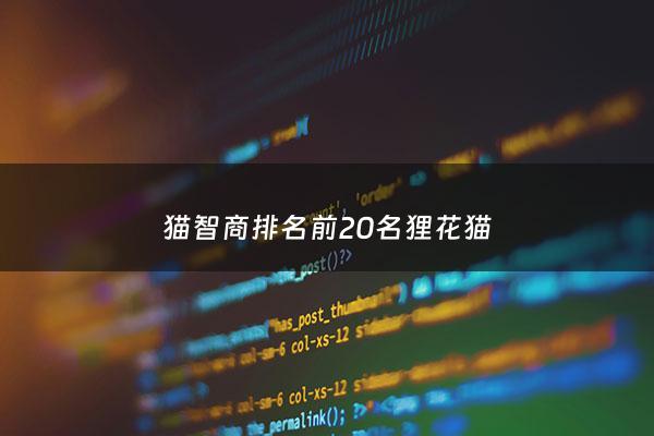 猫智商排名前20名狸花猫 - 猫智商排名前100名