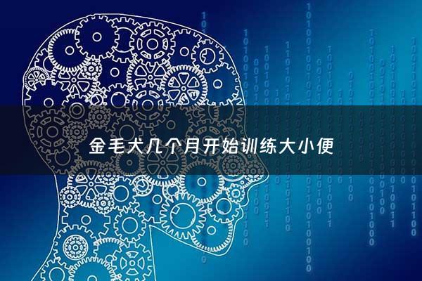 金毛犬几个月开始训练大小便 - 金毛多少个月开始训练