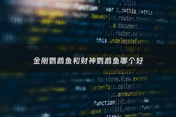 金刚鹦鹉鱼和财神鹦鹉鱼哪个好 - 金刚鹦鹉跟财神鹦鹉的区别