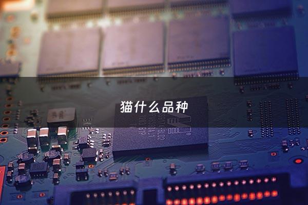 猫什么品种 - 猫什么品种最贵