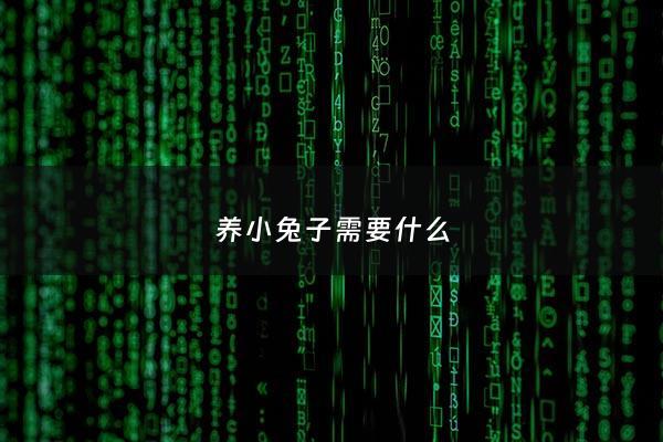 养小兔子需要什么 - 养小兔子需要注意哪些
