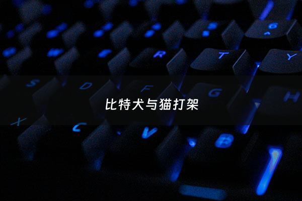 比特犬与猫打架 - 比特犬和猫打架