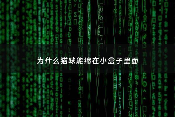 为什么猫咪能缩在小盒子里面 - 为什么猫咪能缩在小盒子里面呢