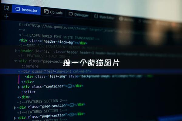 搜一个萌猫图片 - 萌猫图片***