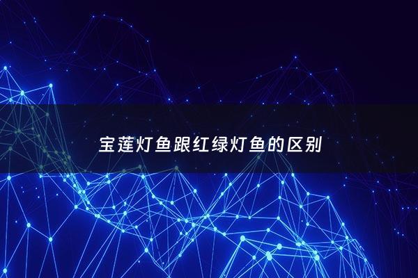 宝莲灯鱼跟红绿灯鱼的区别 - 宝莲灯鱼和红绿灯鱼怎么区分