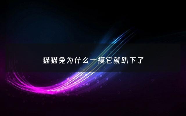 猫猫兔为什么一摸它就趴下了 - 猫猫兔为什么一直在抖