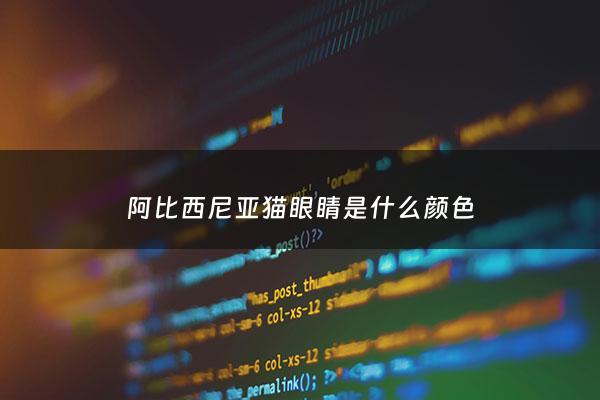 阿比西尼亚猫眼睛是什么颜色 - 阿比西尼亚猫瞳色