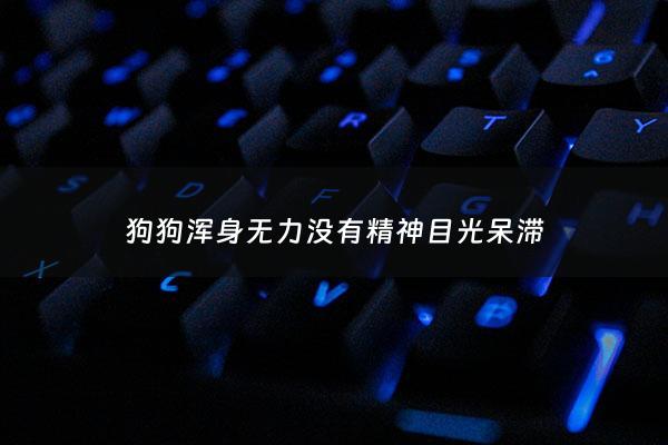 狗狗浑身无力没有精神目光呆滞 - 狗狗浑身无力没有精神发抖