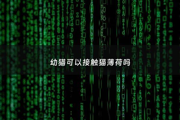 幼猫可以接触猫薄荷吗 - 幼猫可以接触猫薄荷吗为什么