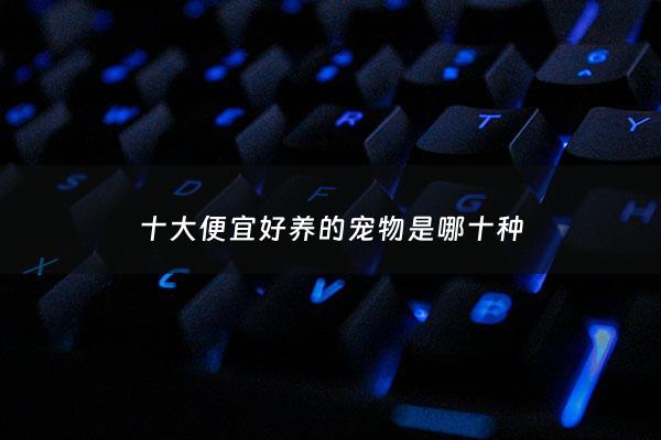 十大便宜好养的宠物是哪十种 - 便宜好养干净的宠物
