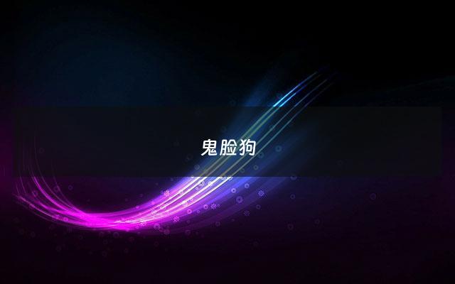 鬼脸狗 - 鬼脸狗是什么品种