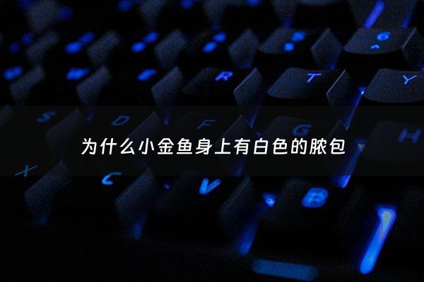 为什么小金鱼身上有白色的脓包 - 小金鱼身上有白色絮状物怎么办