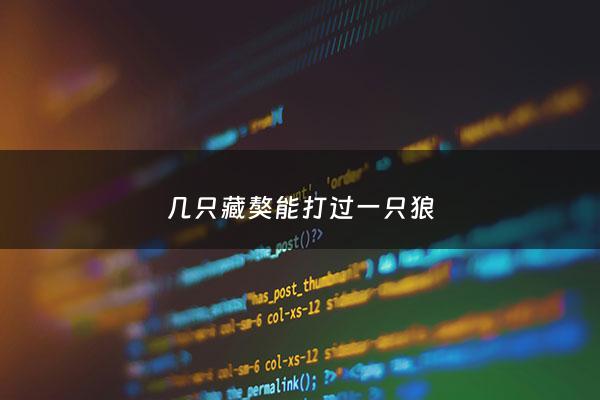 几只藏獒能打过一只狼 - 一只藏獒能打几个人