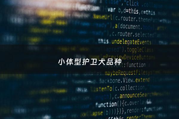 小体型护卫犬品种 - 小型护卫犬什么品种最好