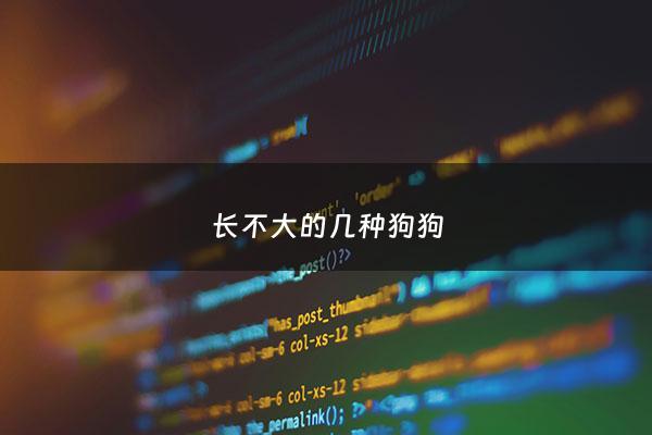 长不大的几种狗狗 - 长不大的狗是什么狗