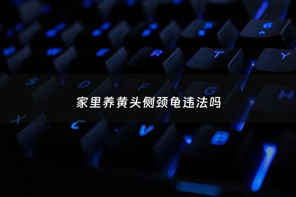家里养黄头侧颈龟违法吗 - 家里养黄头侧颈龟违法吗***