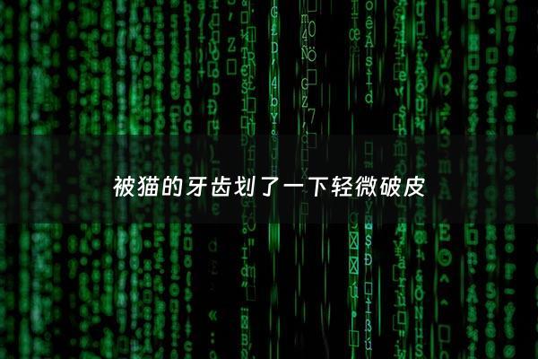 被猫的牙齿划了一下轻微破皮 - 被猫的牙齿划了一下轻微破皮有事吗