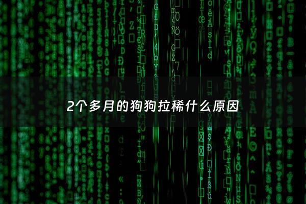 2个多月的狗狗拉稀什么原因 - 两个半月狗狗拉稀怎么办