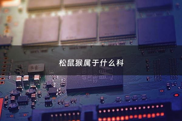 松鼠猴属于什么科 - 松鼠猴是什么