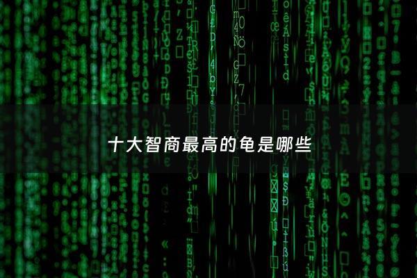 十大智商最高的龟是哪些 - 智商最高的龟类