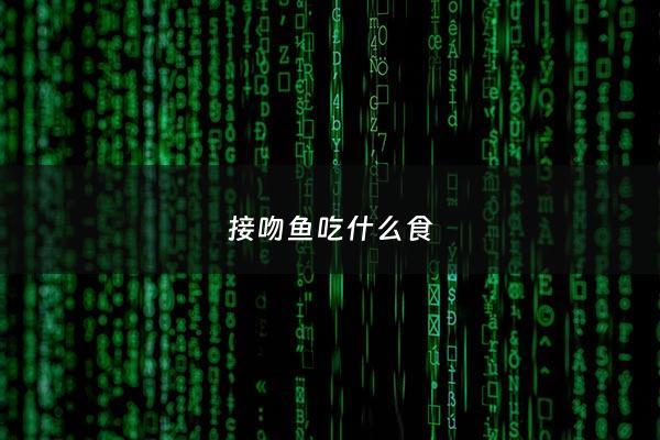 接吻鱼吃什么食 - 接吻鱼吃什么食物