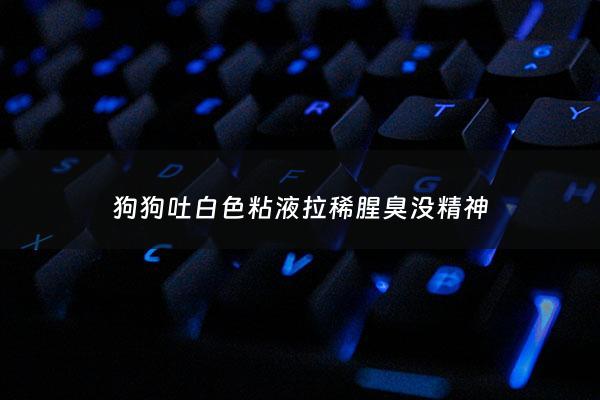 狗狗吐白色粘液拉稀腥臭没精神 - 狗吐白色粘液拉稀没食欲也不爱动