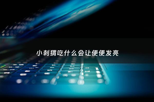小刺猬吃什么会让便便发亮 - 小刺猬吃什么好