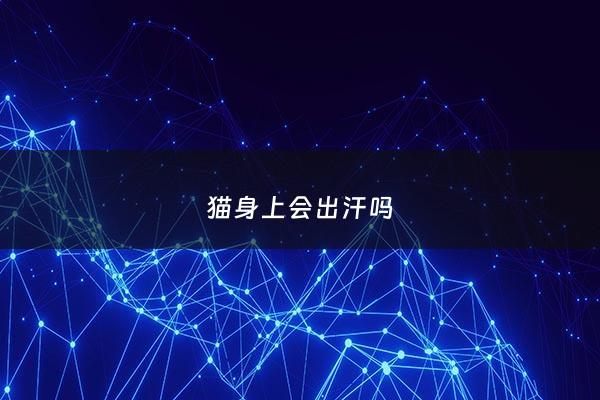 猫身上会出汗吗 - 猫会淌汗吗