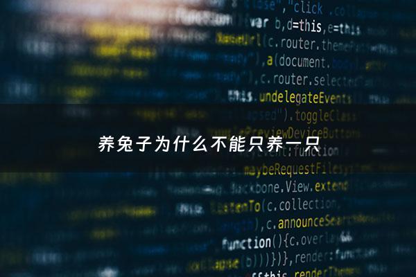 养兔子为什么不能只养一只 - 兔子是不是不能养一只
